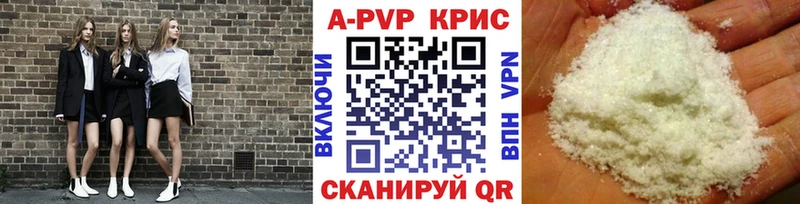 A PVP СК КРИС  Шенкурск 
