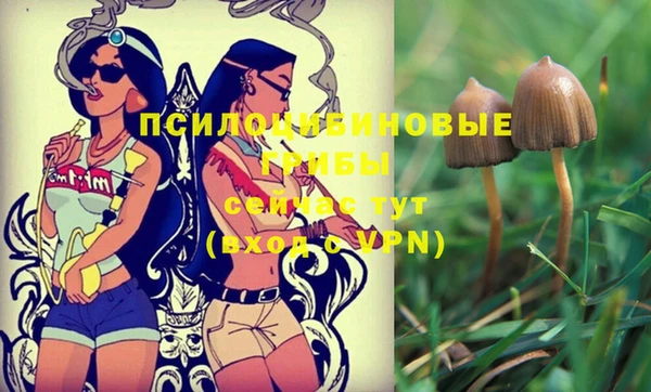 индика Нефтекумск